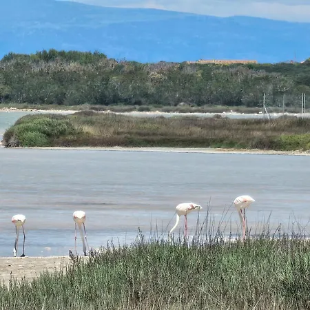 Acqua Chiara Beachfront * Putzu Idu