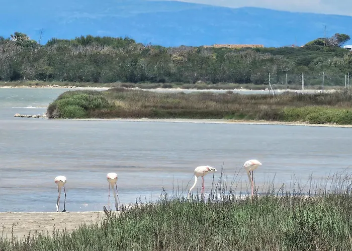 Acqua Chiara Beachfront * Putzu Idu